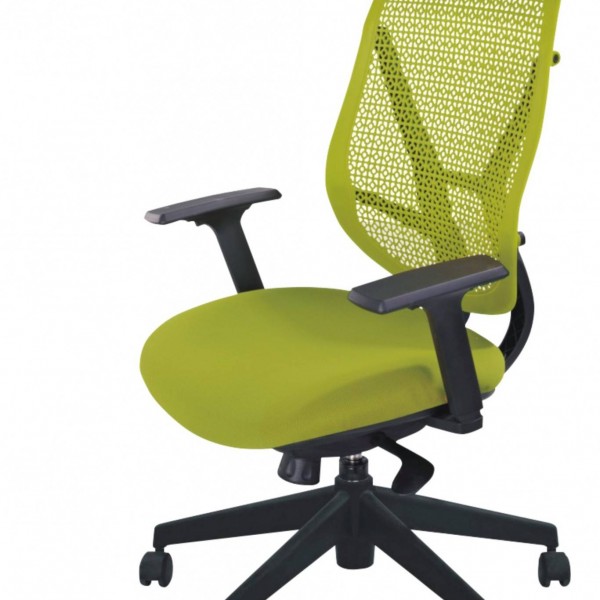 LTC25  Manager Chair