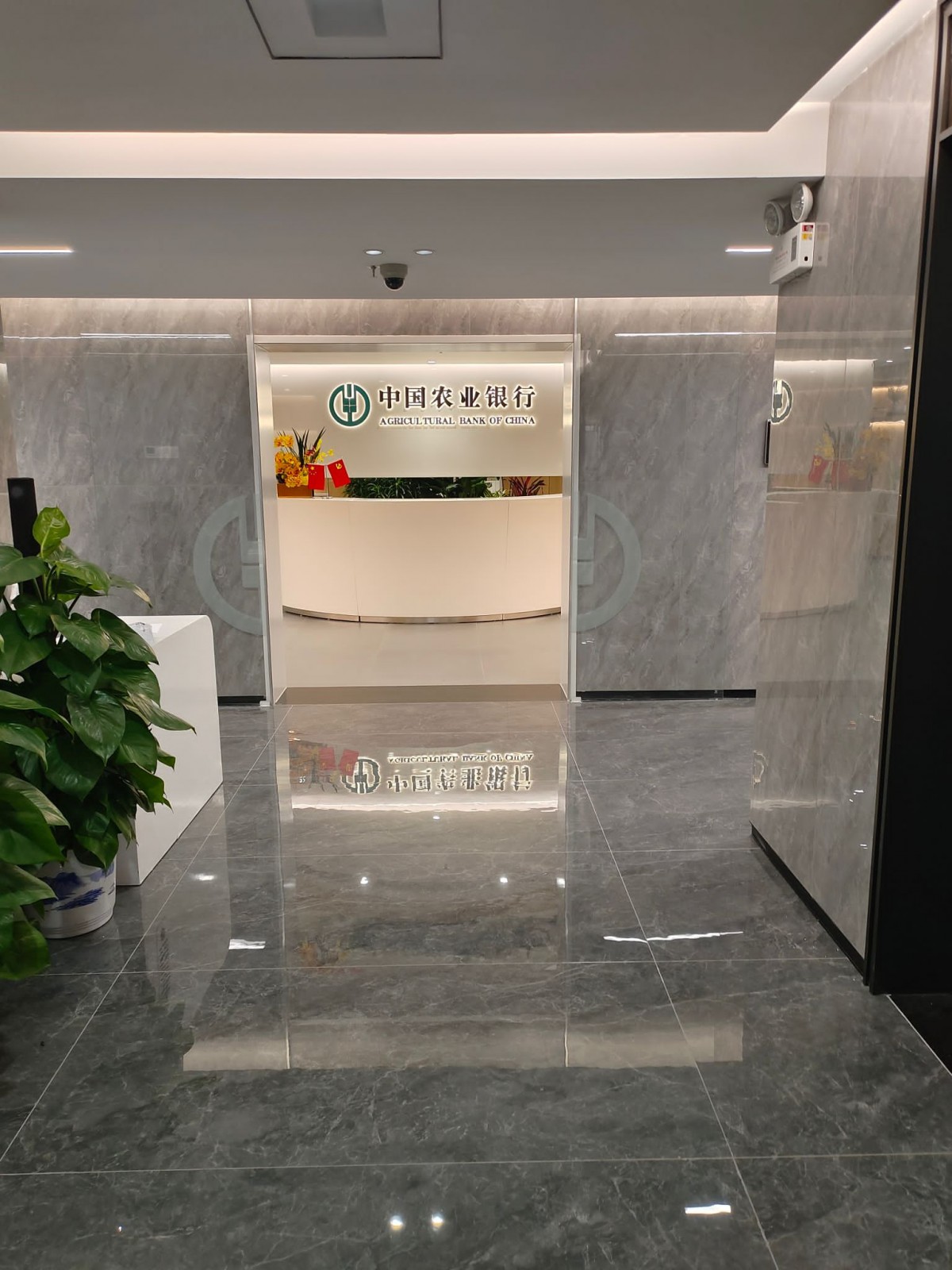 中國農業銀行 深圳羅湖國貿大廈項目 | 辦公室裝修工程成功案例 一站式工作間設計服務 | Webber